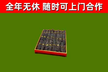 西山烟酒回收海参.jpg